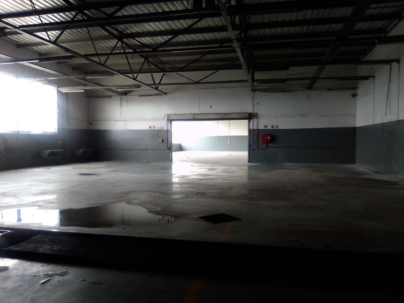 500 SQUARE METERS COMMERCIAL BUSINESS PROPERTY FOR RENTAL - Photo 4