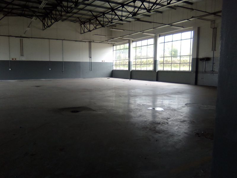 550 SQUARE METERS COMMERCIAL BUSINESS PROPERTY FOR RENTAL - Photo 8