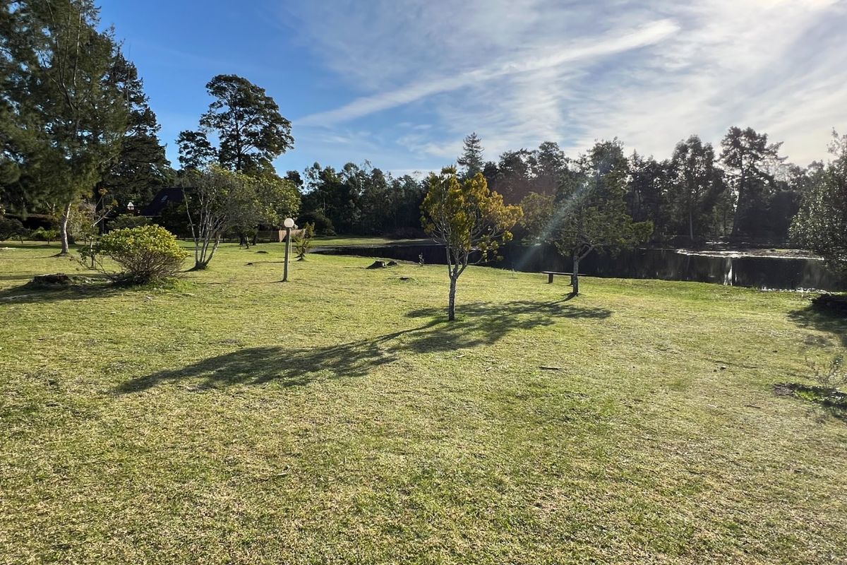 A spacious, well-maintained residential garden featuring a lush lawn, mature trees, and a tranquil water feature.