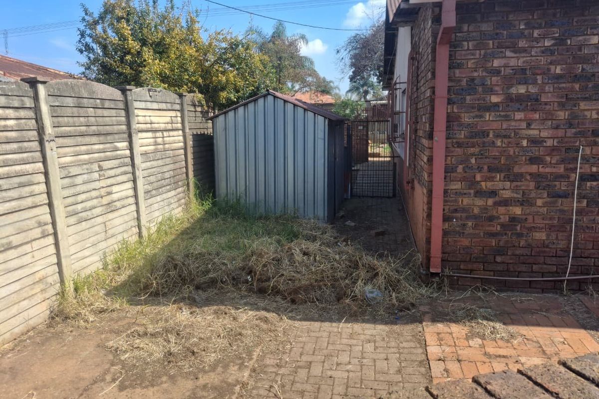 Rear exterior area featuring face brick walling, paved pathways, and a metal storage shed, requiring general garden maintenance and debris removal.