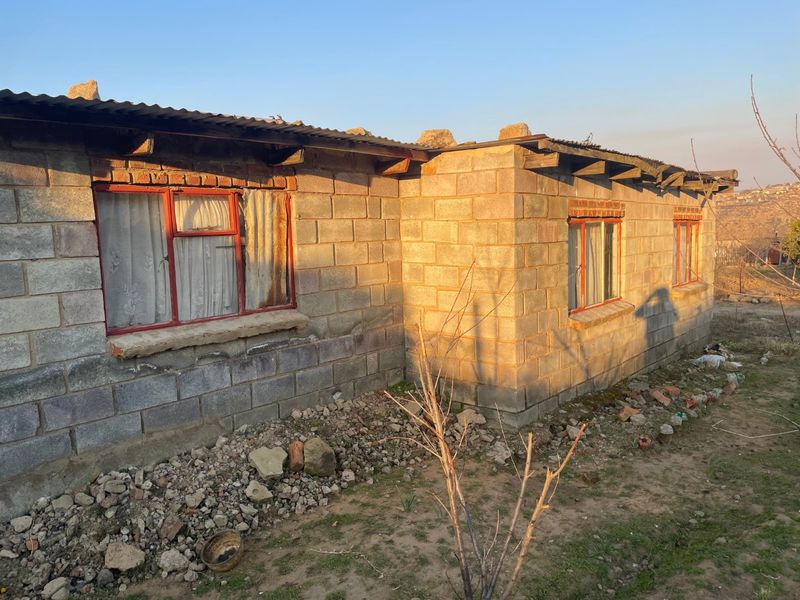 Rear exterior view of a concrete block house featuring a corrugated metal roof and steel-framed windows, set on an unlandscaped plot.