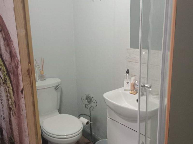 Compact bathroom featuring a white toilet, vanity basin, and a glass-enclosed shower with wood-look flooring.