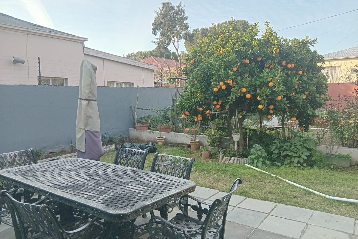 A rear garden area featuring a paved patio, boundary wall with electric fencing, and a mature citrus tree.