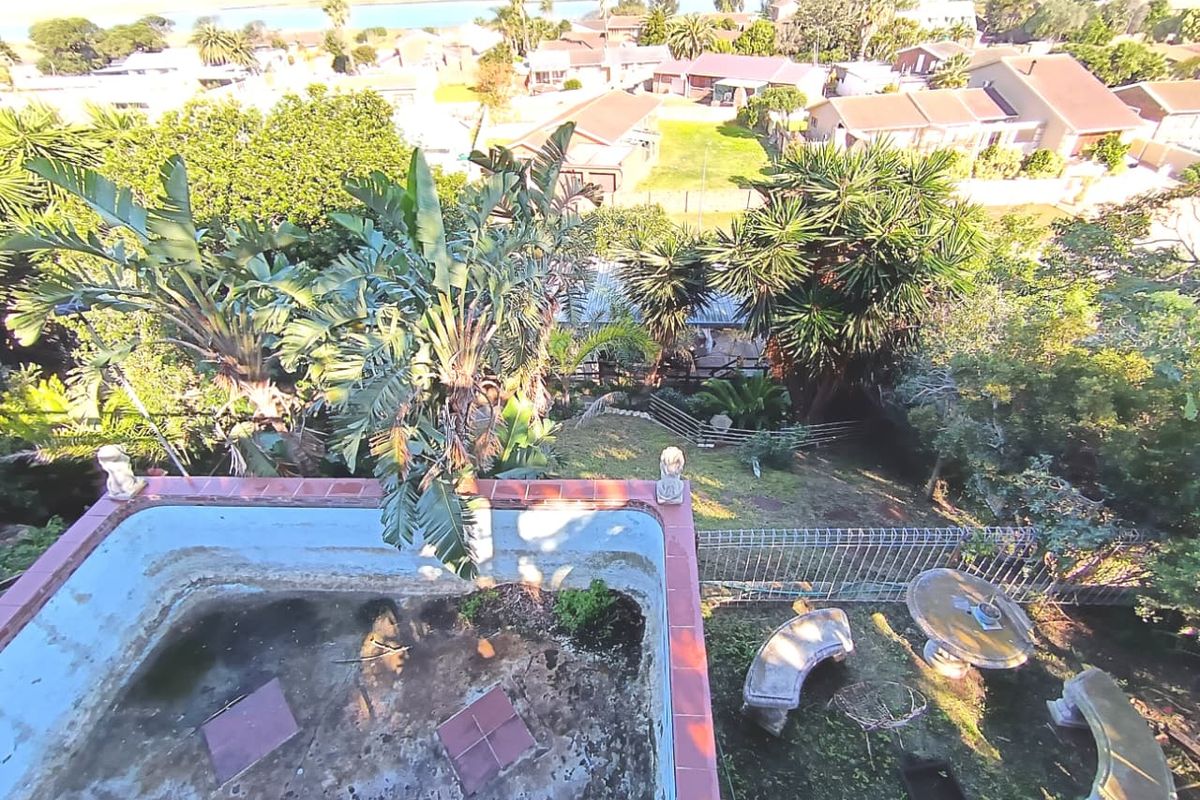 Aerial view of a residential backyard featuring an empty swimming pool with tiled coping and a surrounding garden area with mature trees.