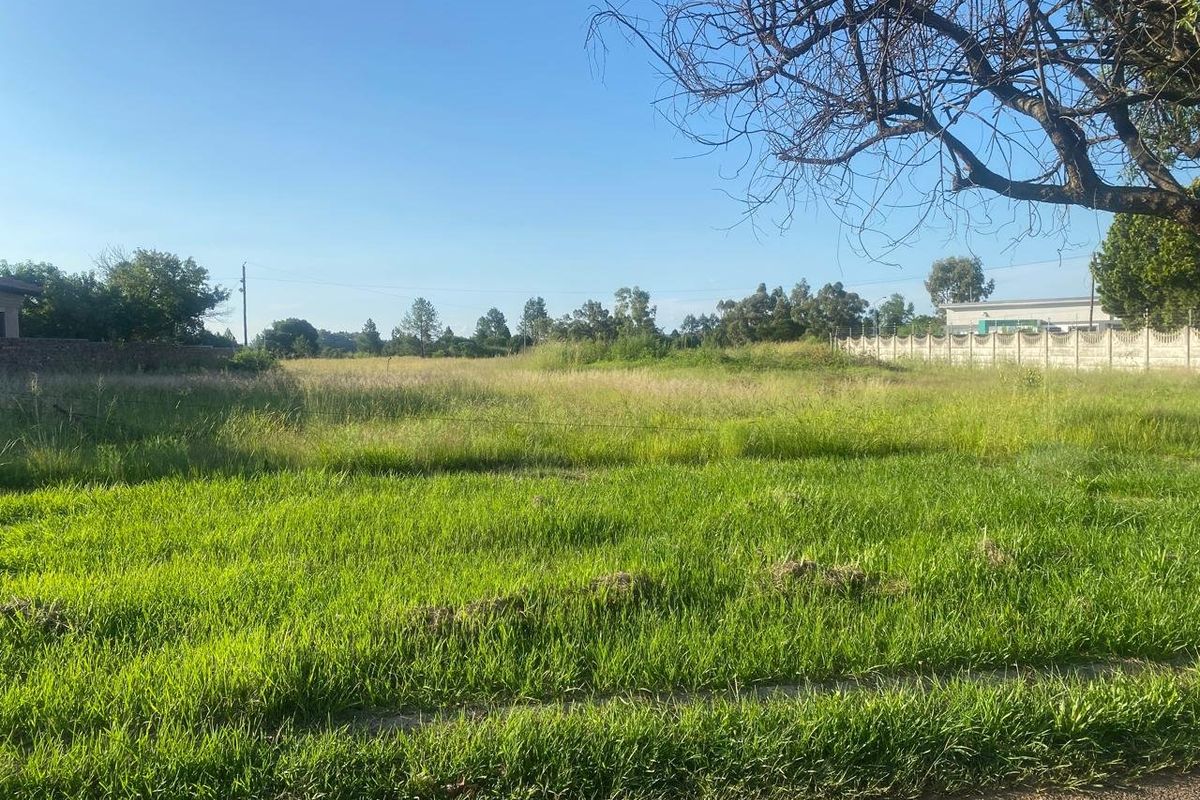 A vacant residential plot featuring open grassy terrain, perimeter fencing, and mature trees, offering a blank canvas for future development.