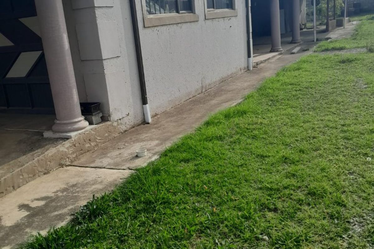 A view of the rear exterior of the house featuring a concrete walkway, decorative columns, and a grass lawn area.