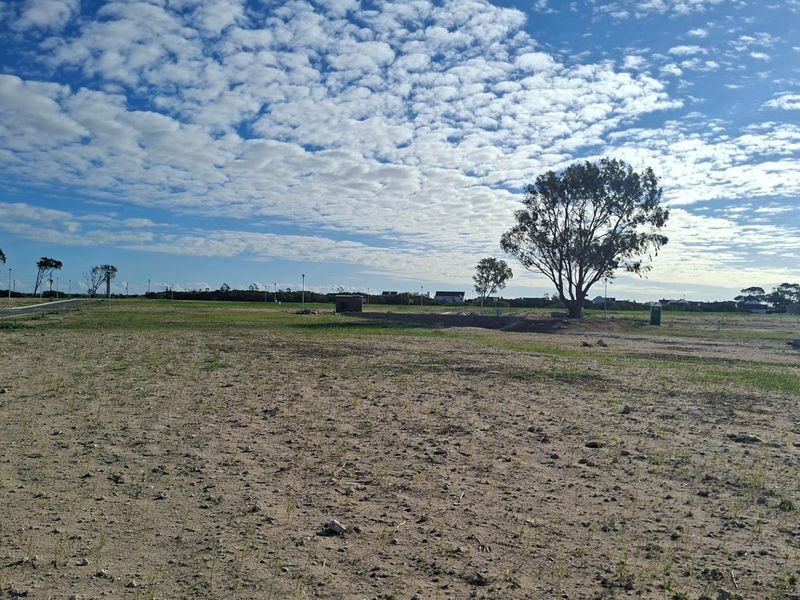 Vacant land for sale in Britannia Beach Estate - St Helena Bay - Photo 10
