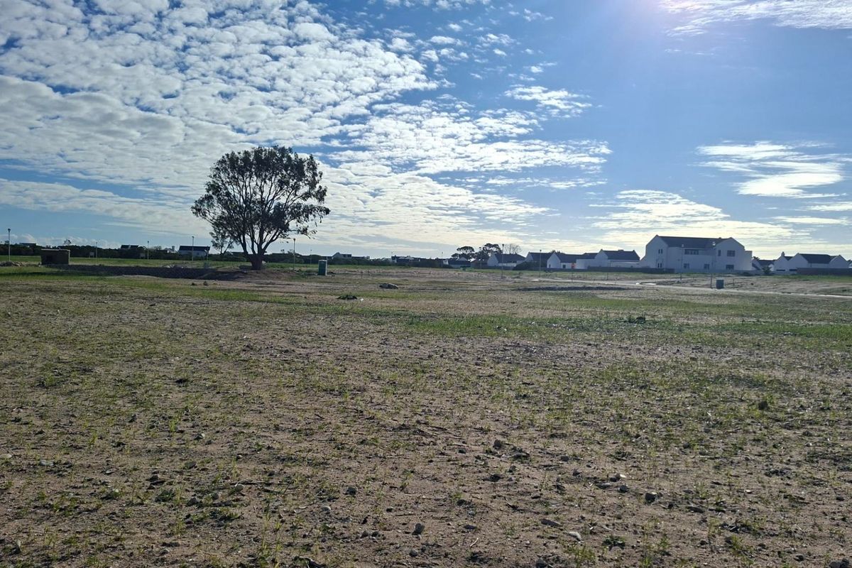 A wide-angle view of a vacant residential plot featuring natural ground cover and a mature tree, set within a developed neighborhood.