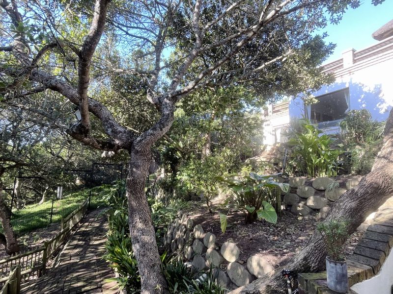 Elevated Family Home with Panoramic Views - Photo 3