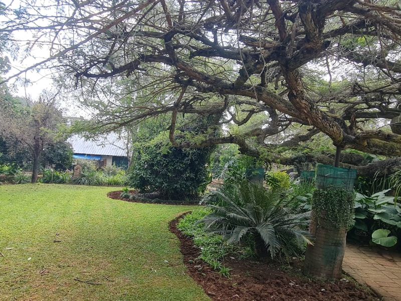Expansive 2.1 Hectare Smallholding for Sale in Bon Accord - COME MAKE A OFFER  - Photo 6