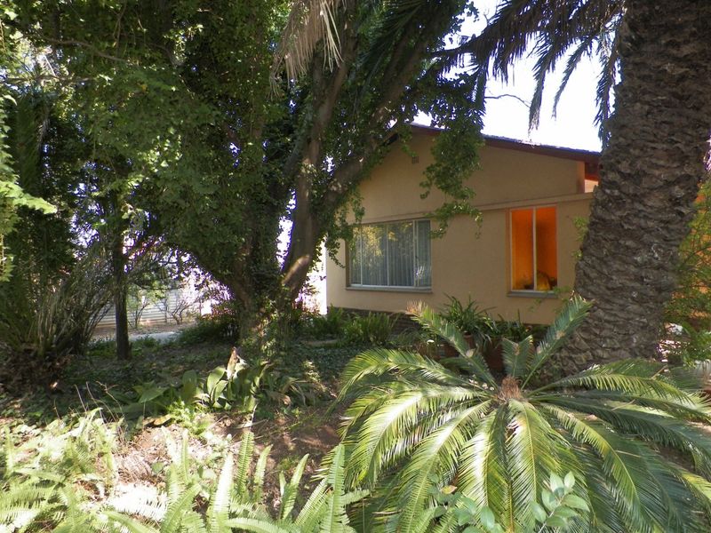 A view of the rear facade of the house, partially obscured by mature trees and established garden foliage.