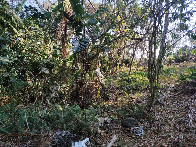 Prime Vacant Land For Sale – Heart Of Ramsgate - Photo 3