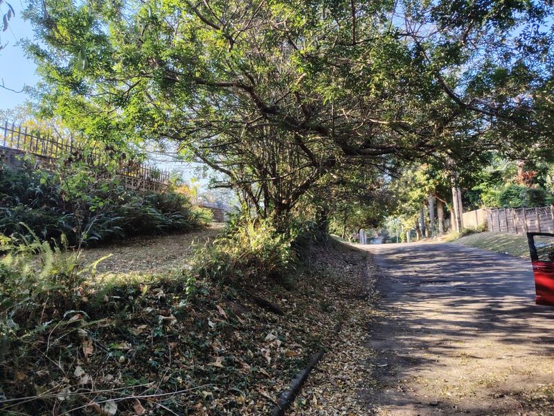 Prime Vacant Land For Sale – Heart Of Ramsgate - Photo 4