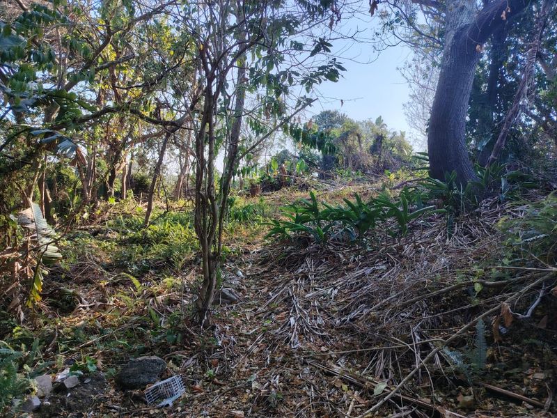 Prime Vacant Land For Sale – Heart Of Ramsgate - Photo 1