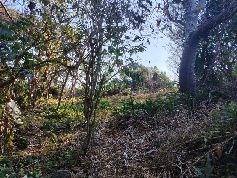 Prime Vacant Land For Sale – Heart Of Ramsgate - Photo 5