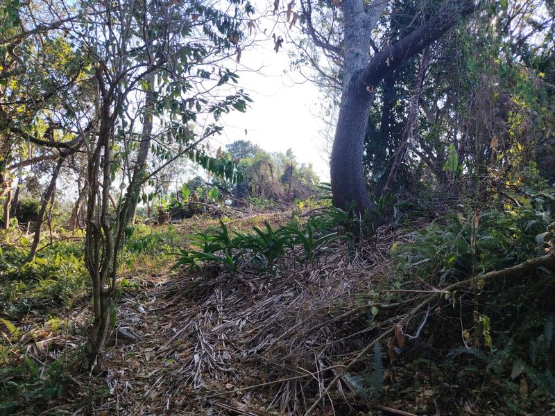 Prime Vacant Land For Sale – Heart Of Ramsgate - Photo 2