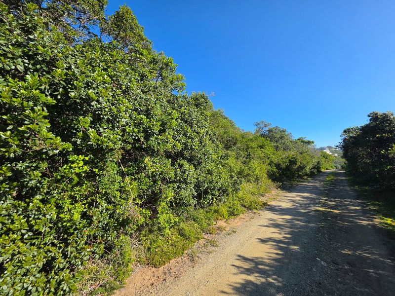An Exceptional Opportunity to Build Your Dream Home in Wilderness - Photo 3