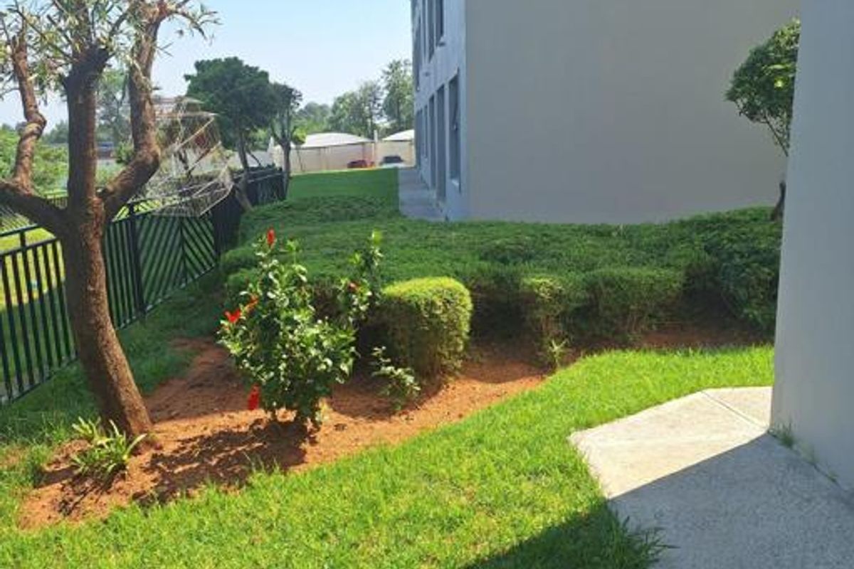 A view of the apartment building's rear exterior, featuring a well-maintained lawn, landscaped garden beds, and a concrete walkway along the building facade.