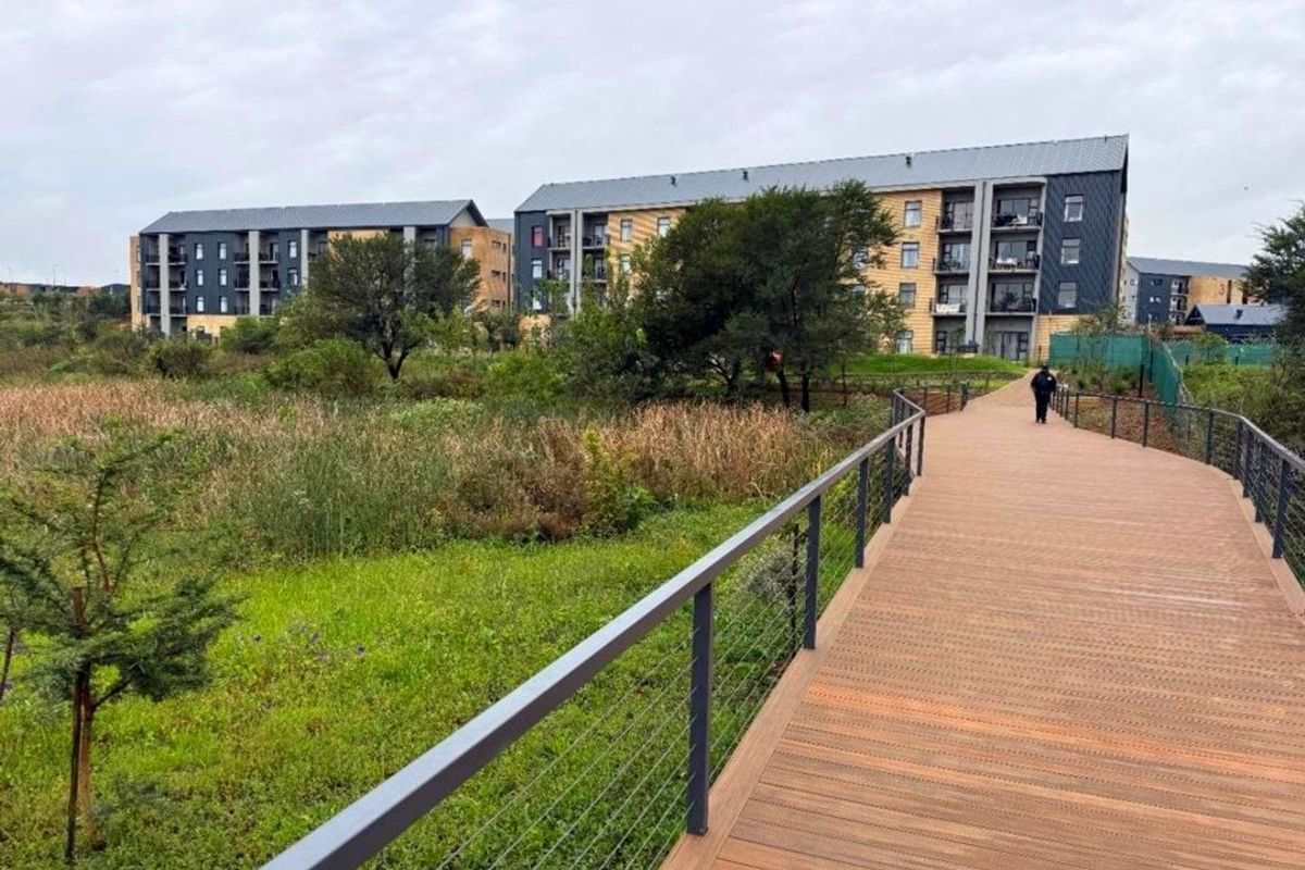 A scenic timber boardwalk pathway leading through a landscaped wetland area towards modern apartment buildings.