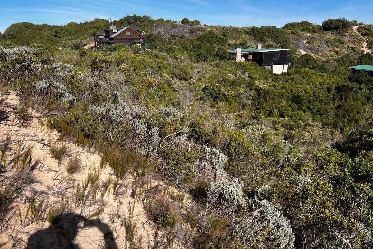 A view of residential properties nestled within natural coastal vegetation and sand dunes, showcasing the surrounding landscape.