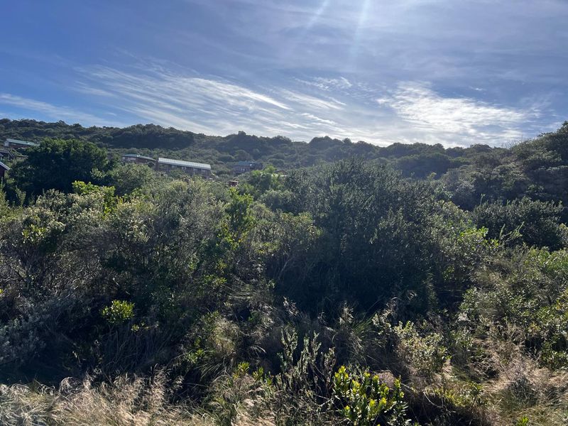 Nature's Lovers Dream plot - Photo 10
