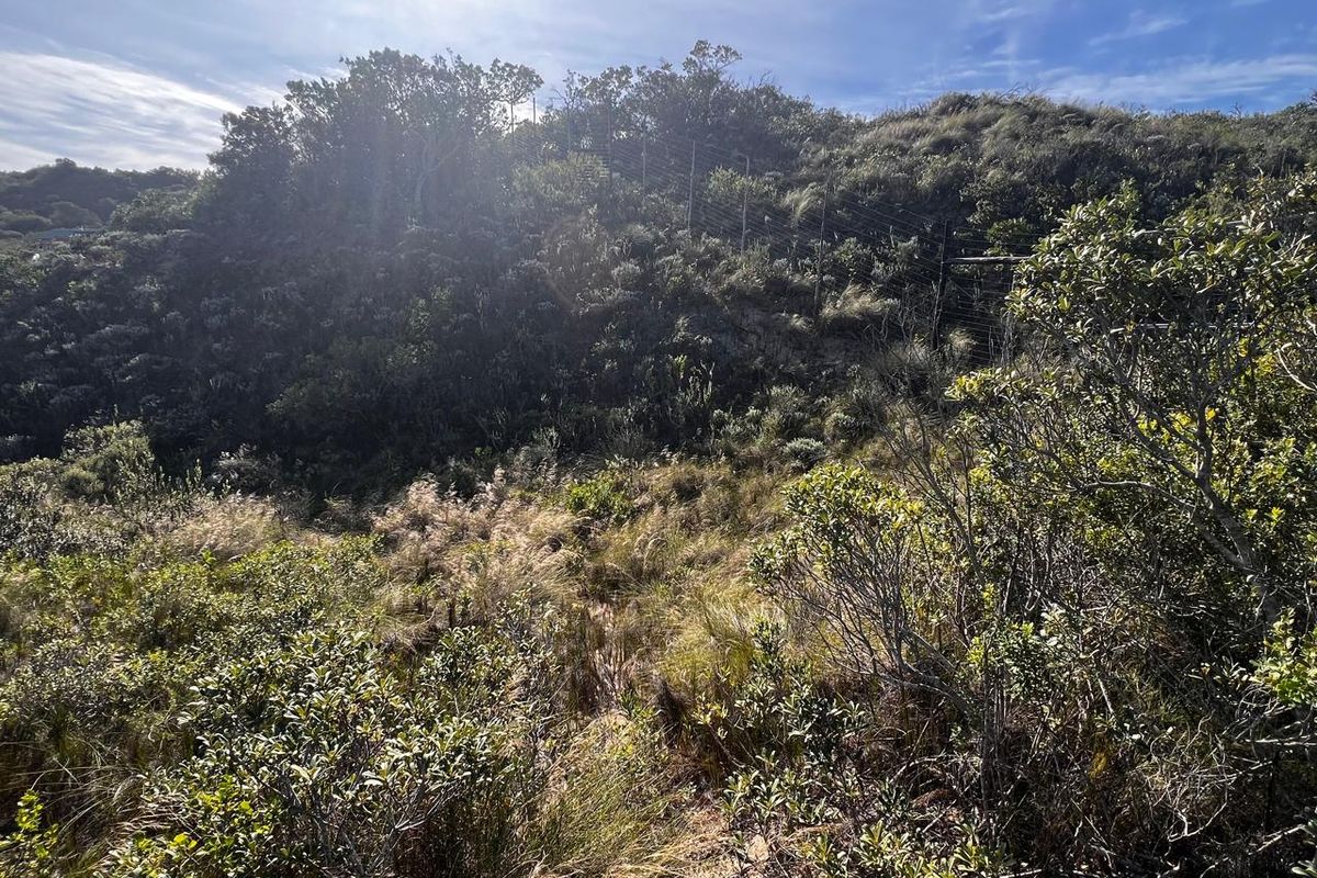 A view of the natural, undeveloped residential land featuring native vegetation and perimeter wire fencing.
