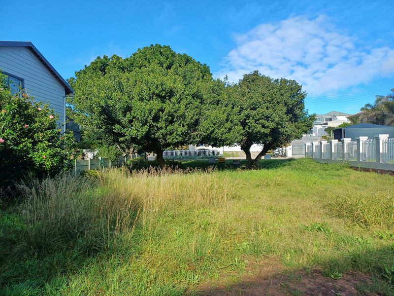 Prime Level Stand in the Heart of Tergniet - Photo 1