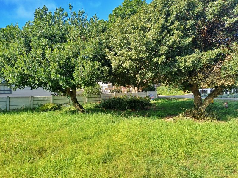 Prime Level Stand in the Heart of Tergniet - Photo 6