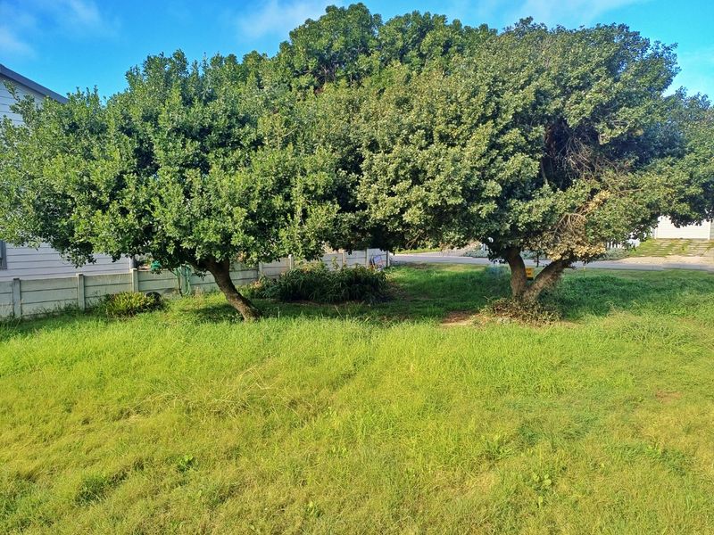 Prime Level Stand in the Heart of Tergniet - Photo 7