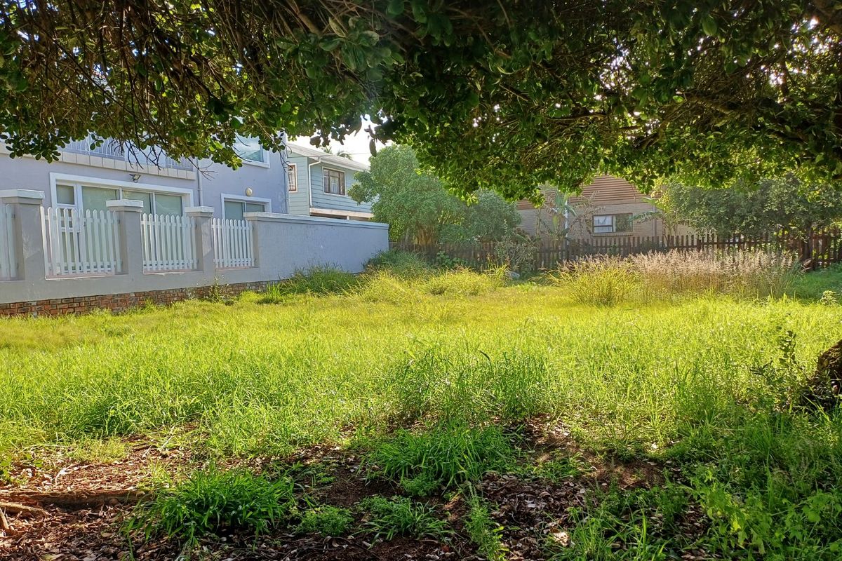 A view of a vacant residential plot featuring overgrown grass, a boundary wall, and a picket fence, shaded by a large mature tree.