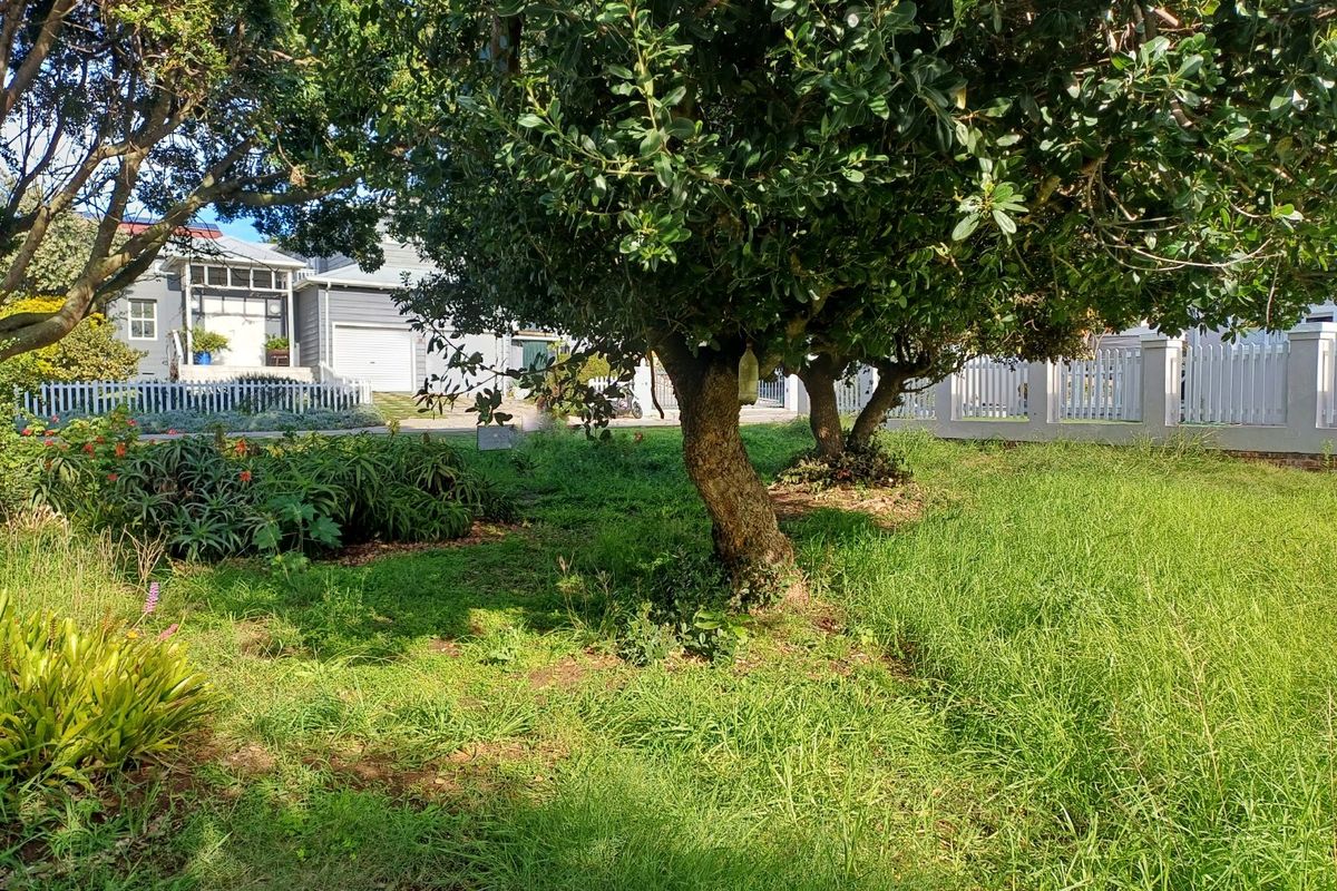 A view of a residential garden featuring mature trees, established lawn, and a white picket fence boundary.
