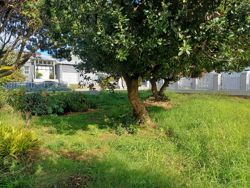 Prime Level Stand in the Heart of Tergniet - Photo 3