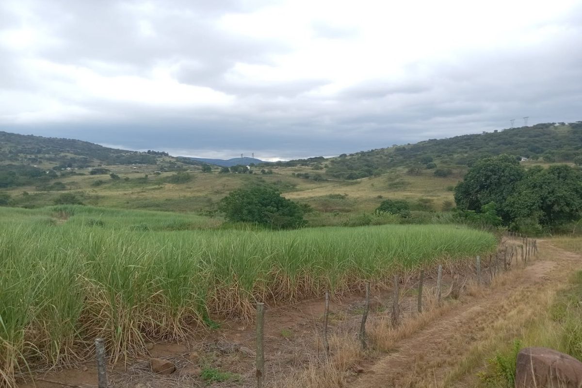 A scenic view of the farm landscape featuring rolling hills, open fields, and a dirt access track bordered by wire fencing.