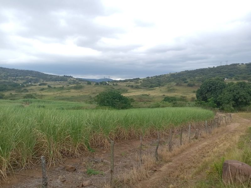 0 Bed Farm in Stanger Central for Sale - Photo 4
