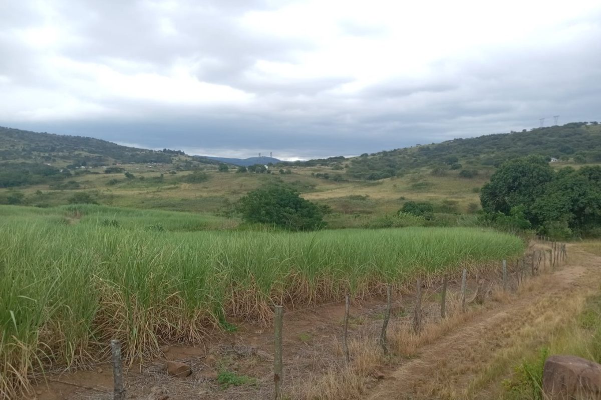 A scenic view of the farm landscape featuring rolling hills, open fields, and a wire fence boundary.