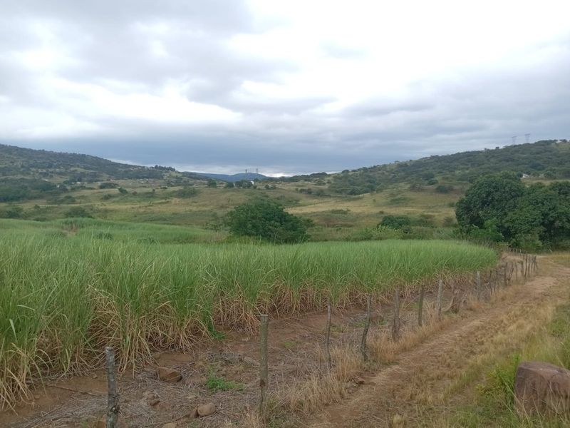 0 Bed Farm in Stanger Central for Sale - Photo 2
