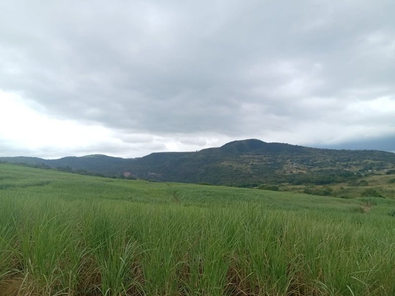 0 Bed Farm in Stanger Central for Sale - Photo 8