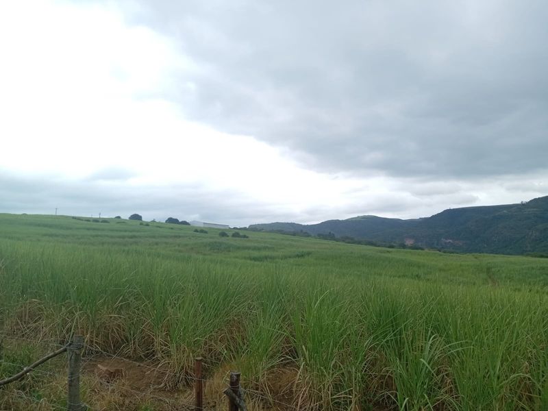0 Bed Farm in Stanger Central for Sale - Photo 7