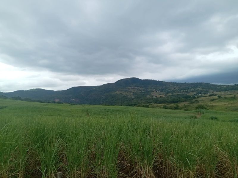 0 Bed Farm in Stanger Central for Sale - Photo 6