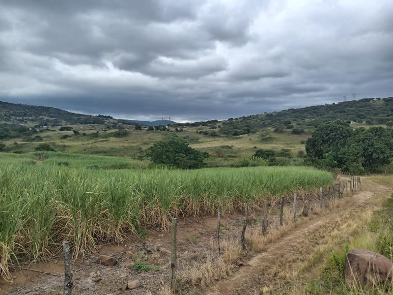 0 Bed Farm in Stanger Central for Sale - Photo 3