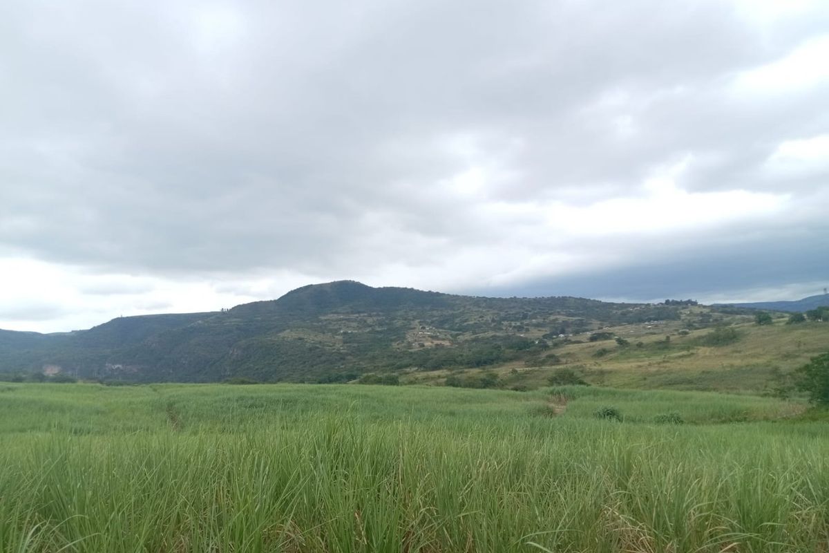 A scenic view of the expansive farm landscape featuring rolling green fields and distant hills under a cloudy sky.