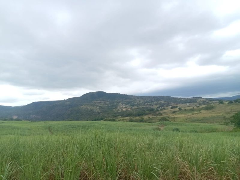 0 Bed Farm in Stanger Central for Sale - Photo 5