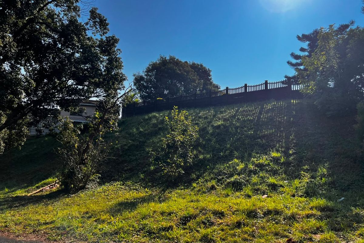 A view of the rear property boundary featuring a sloped lawn area enclosed by a timber fence and mature trees.