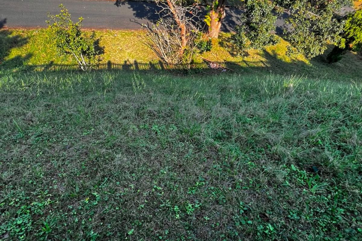 An elevated aerial view looking down over a sloped grassy yard towards a residential street with mature trees.