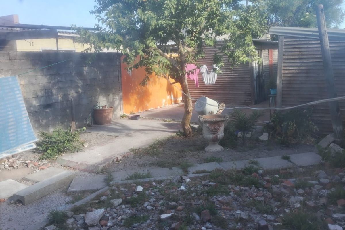 Rear garden area featuring a concrete boundary wall, corrugated metal outbuilding, and paved pathway, currently requiring significant landscaping and maintenance.