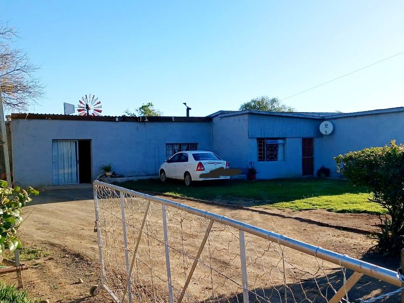 Front view of a farm property featuring a metal gate, a windmill, and a single-story dwelling with security bars and a corrugated metal roof.