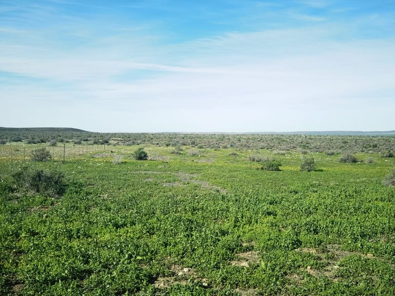 Well-Maintained Farm near Loeriesfontein  in the Beautiful Boesmanland - Photo 9