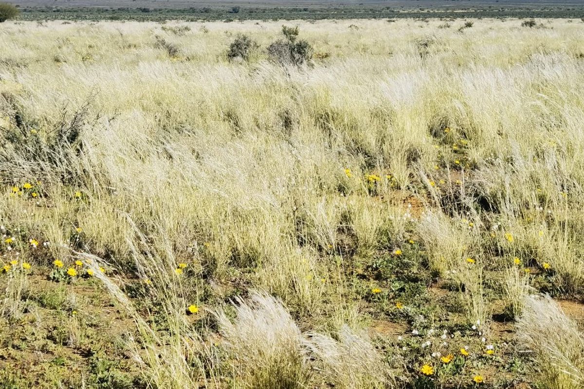 Expansive view of the open farm landscape featuring natural grasslands and distant mountain ranges under a clear sky.