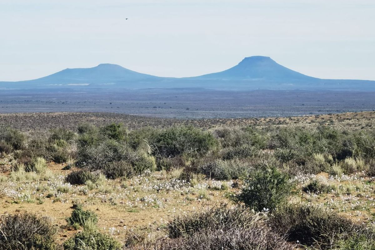A scenic landscape view showcasing the expansive natural terrain and distant mountain peaks characteristic of the farm property.