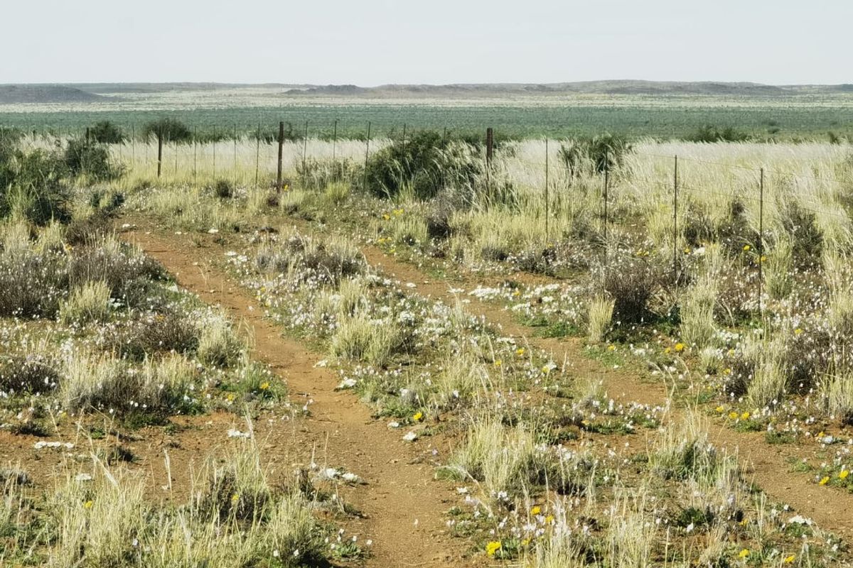 Expansive view of open farm land featuring natural vegetation and wire boundary fencing.